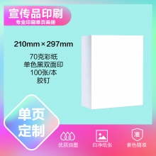 印刷品定制（210×297mm）