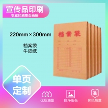 档案袋