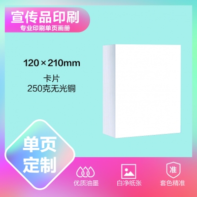 宣传品定制（120×210mm）